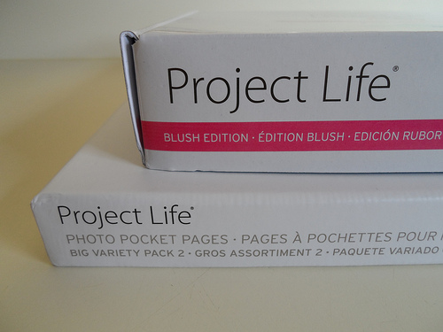 Project Life Boxes