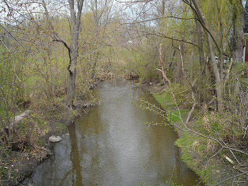 Long Grove Village Stream