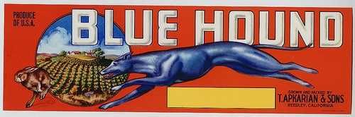 Blue Hound Crate Label