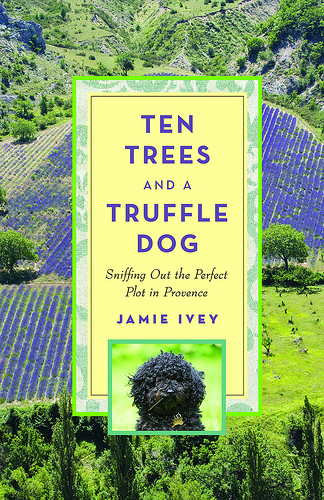 Ten Trees and a Truffle Dog